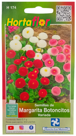 Semillas de Margarita Botoncitos HORTAFLOR – flores pequeñas y resistentes que alegran cualquier jardín