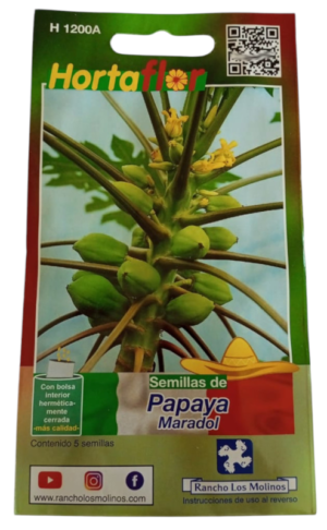 Semillas de Papaya HORTAFLOR – árboles frutales tropicales para cosechas de papayas dulces y nutritivas