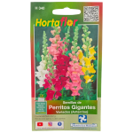 Semillas de Perritos Gigantes HORTAFLOR – flores grandes y vistosas que aportan color a tu jardín