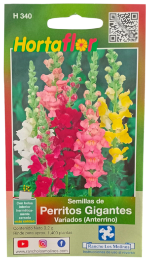 Semillas de Perritos Gigantes HORTAFLOR – flores grandes y vistosas que aportan color a tu jardín