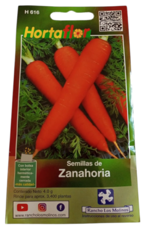Semillas de Zanahoria HORTAFLOR – cultivo fácil para obtener zanahorias frescas y crujientes en casa