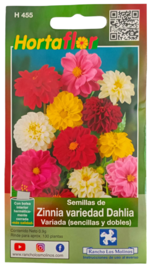 Semillas de Zinnia Dalia HORTAFLOR – flores dobles y vistosas que alegran cualquier espacio