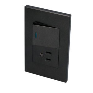 Placa 1 Interruptor 1 contacto 1/2, línea Premium, color negro Surtek