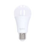 Foco LED A65 15 W 6500 °K Luz fría F10115 Igoto